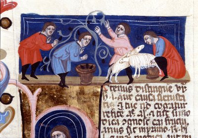 Cueillette de fruits et traite du lait de brebis. Manuscrit du XIVe siècle - Unknown artist