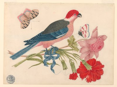 Oiseau rose, rouge, bleu et noir sur une branche avec des fleurs et des papillons - Unknown artist