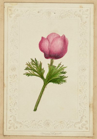 [Carte de notes à fleurs roses] - Unknown artist