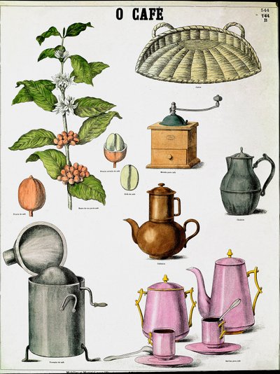 Illustration des différentes étapes de la fabrication du café, branche de café, moulin et différents cafetières. Gravure du XIXe siècle Collection Privée - Unknown artist