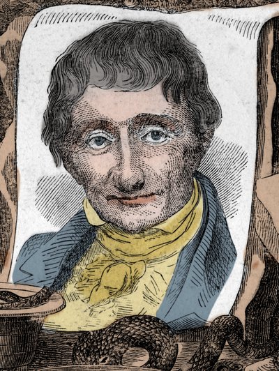 Portrait d