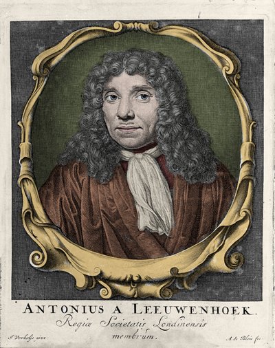 Portrait d