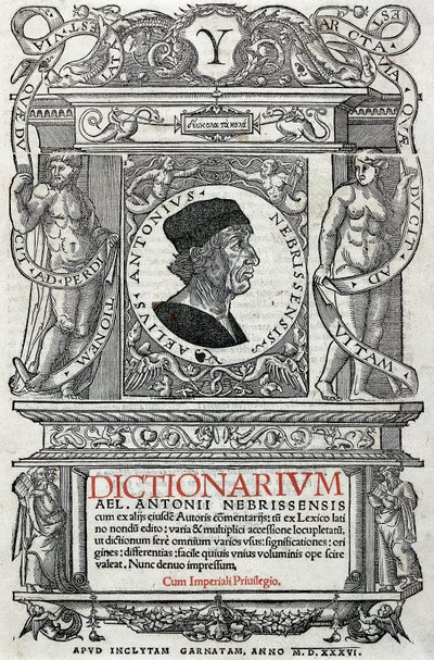 Portrait d