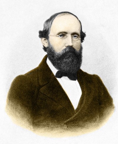 Portrait de Bernhard Riemann (1826-1866), mathématicien allemand - Unknown artist