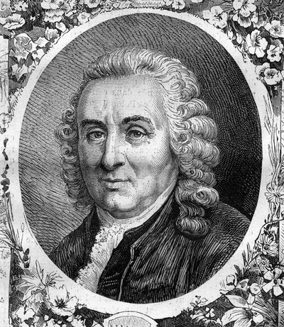 Portrait de Charles Linné (Carl von Linné, Carl Linnaeus) (1707-1778), naturaliste suédois. Gravure de 1878 - Unknown artist
