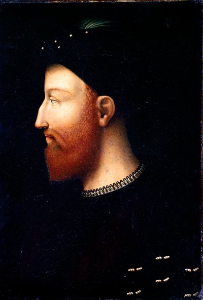 Portrait de Ferrante d