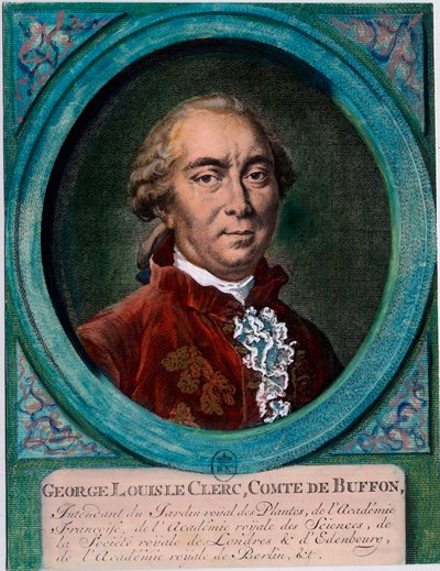 Portrait de George Louis Le Clerc, Comte de Buffon (1707-1788), naturaliste et écrivain français. Gravure du XVIIIe siècle. Collection privée. - Unknown artist