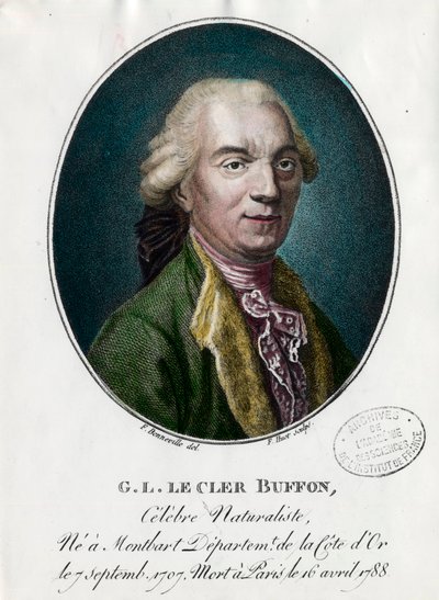 Portrait de George Louis Le Clerc, Comte de Buffon - Unknown artist