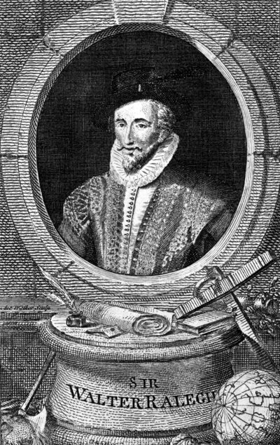 Portrait de Sir Walter Raleigh (1554 - 1618), courtisan, navigateur et écrivain anglais. Gravure du 18ème siècle. - Unknown artist