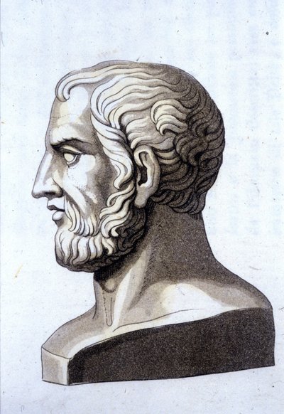 Portrait de Théophraste (372 av. J.-C. - 287 av. J.-C.), philosophe grec. - Unknown artist