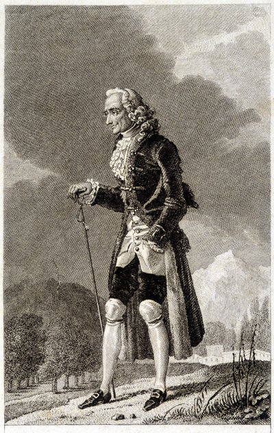 Portrait de Voltaire (1694 - 1778), écrivain et philosophe français, âgé - Unknown artist