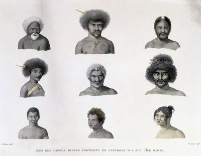 Portraits des Papous de l