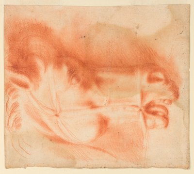 Profil de tête de cheval avec bride en profil - Unknown artist