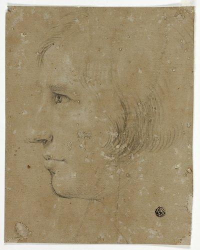 Profil de tête masculine à gauche - Unknown artist