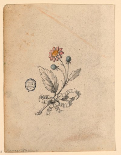 Projet pour un Corsage - Unknown artist