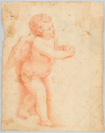 Putto Faisant un Nœud - Unknown artist