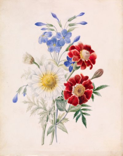 Fleurs rouges et bleues et marguerite blanche - Unknown artist