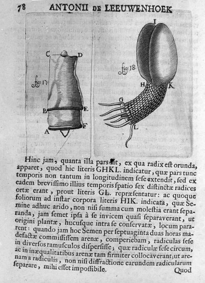 Représentation d