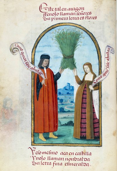 Représentation des rois catholiques Ferdinand II et Isabelle 1ère de Castille - Unknown artist