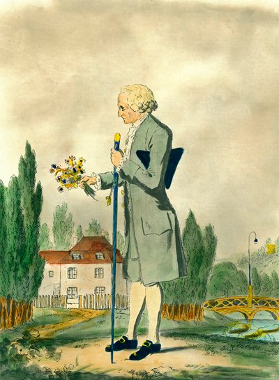 Représentation du philosophe suisse Jean-Jacques Rousseau (1712-1778) cueillant des fleurs à Ermenonville. Gravure du XVIIIe siècle. Collection privée - Unknown artist