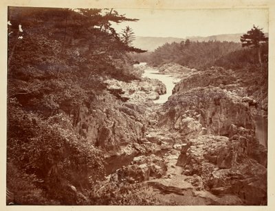 [Vue de la rivière Rocky] - Unknown artist