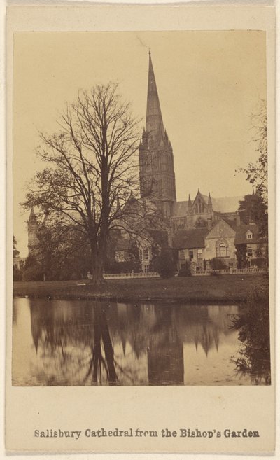 Cathédrale de Salisbury depuis le jardin de l