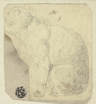 Chat assis de profil - Unknown artist