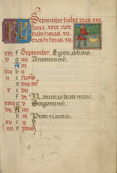 Page du calendrier de septembre ; Récolte des raisins - Unknown artist