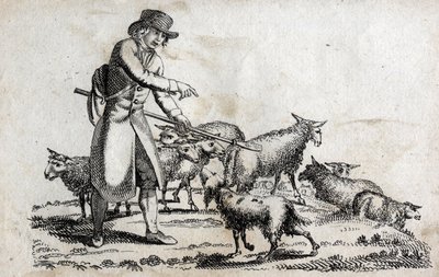 Berger avec son troupeau de moutons. Gravure fin XVIIIe siècle. Collection privée. - Unknown artist