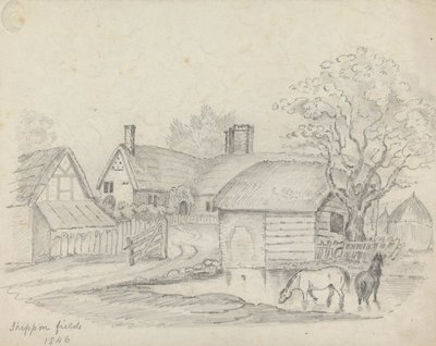 Sheppon Fields - Unknown artist