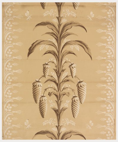 Mur Latéral - Unknown artist