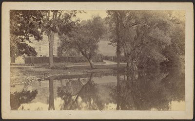 [Étang Silverspring] - Unknown artist