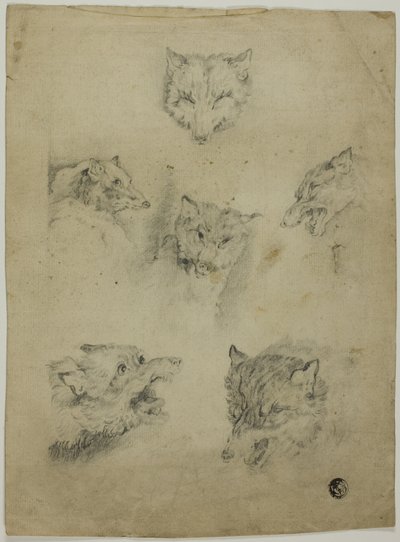 Six croquis de têtes de loup - Unknown artist
