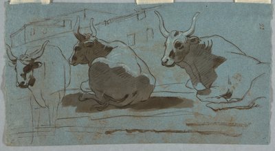 Croquis de taureaux - Unknown artist
