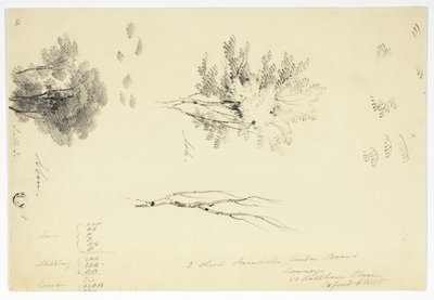 Croquis d