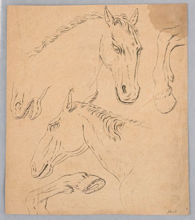 Esquisses de têtes et sabots de chevaux - Unknown artist