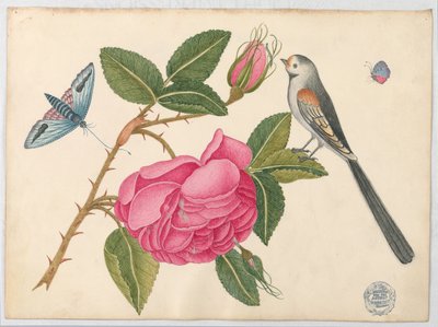 Petit oiseau noir et blanc sur feuille de rose avec fleurs et papillons - Unknown artist