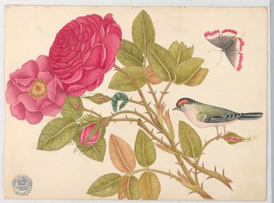 Petit oiseau à tête rouge sur une branche de rose - Unknown artist