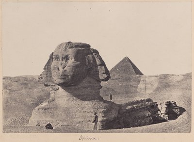 Sphinx - Unknown artist
