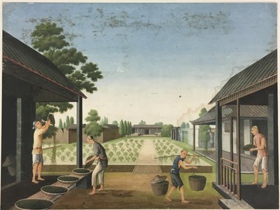 Filage du tissu, préparation des feuilles de thé, préparation de la soie - Unknown artist