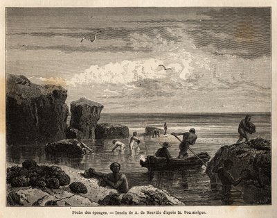 Pêche à l