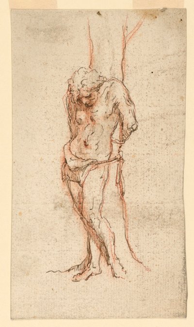 Saint Sébastien attaché à un arbre - Unknown artist