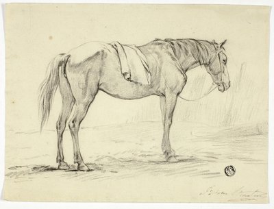 Cheval debout - Unknown artist