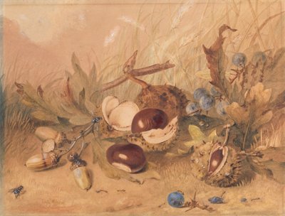 Nature morte avec glands et marrons - Unknown artist