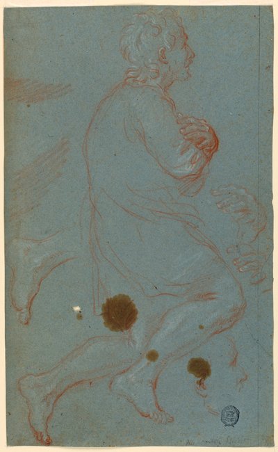 Études probablement pour une Adoration des bergers - Unknown artist