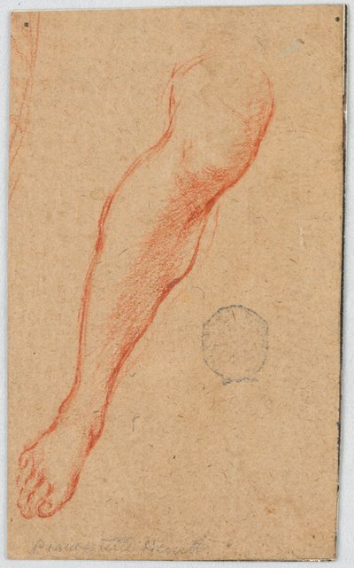 Étude pour la jambe droite d