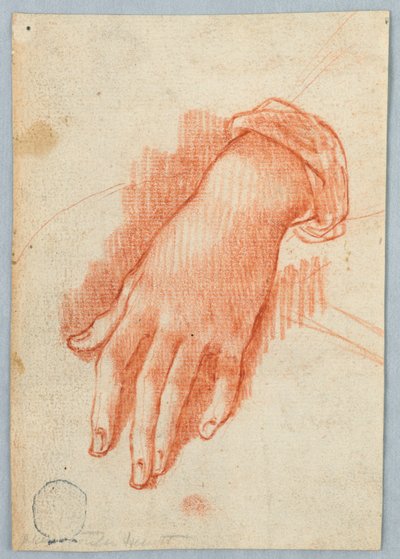 Étude de la main gauche d