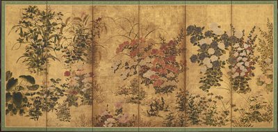 Fleurs d