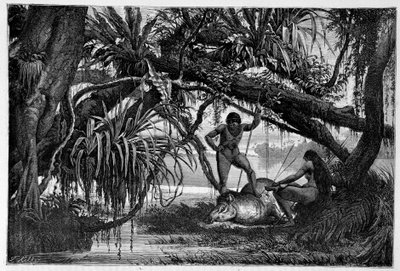 Tapir tué par des Indiens du Brésil - dans « Le tour du monde » 2e semestre 1874 - Unknown artist