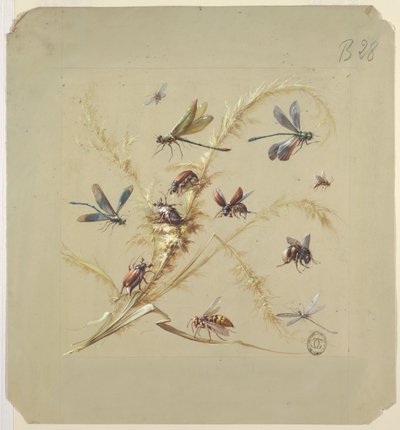 Motif textile ou papier peint : Insectes - Unknown artist
